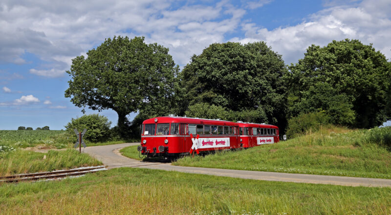 Zwei rote, alte Triebwagen queren einen Bahnübergang. Im Vordergrund eine grüne Wiese, im Hintergrund große Bäume.